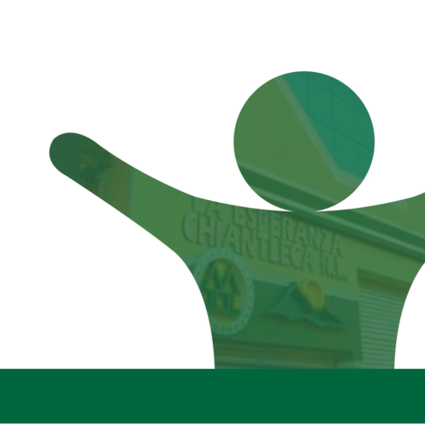 Servicios Integrales